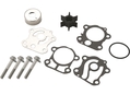 Servisni komplet za vodno črpalko Yamaha 50/60/70, 6H3-W0078-A0