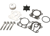 Servisni komplet za vodno črpalko Yamaha 50/60/70, 6H3-W0078-A0