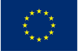 Zastava EU, 20x30 cm