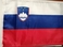 Zastava Slovenija, 20x30 cm